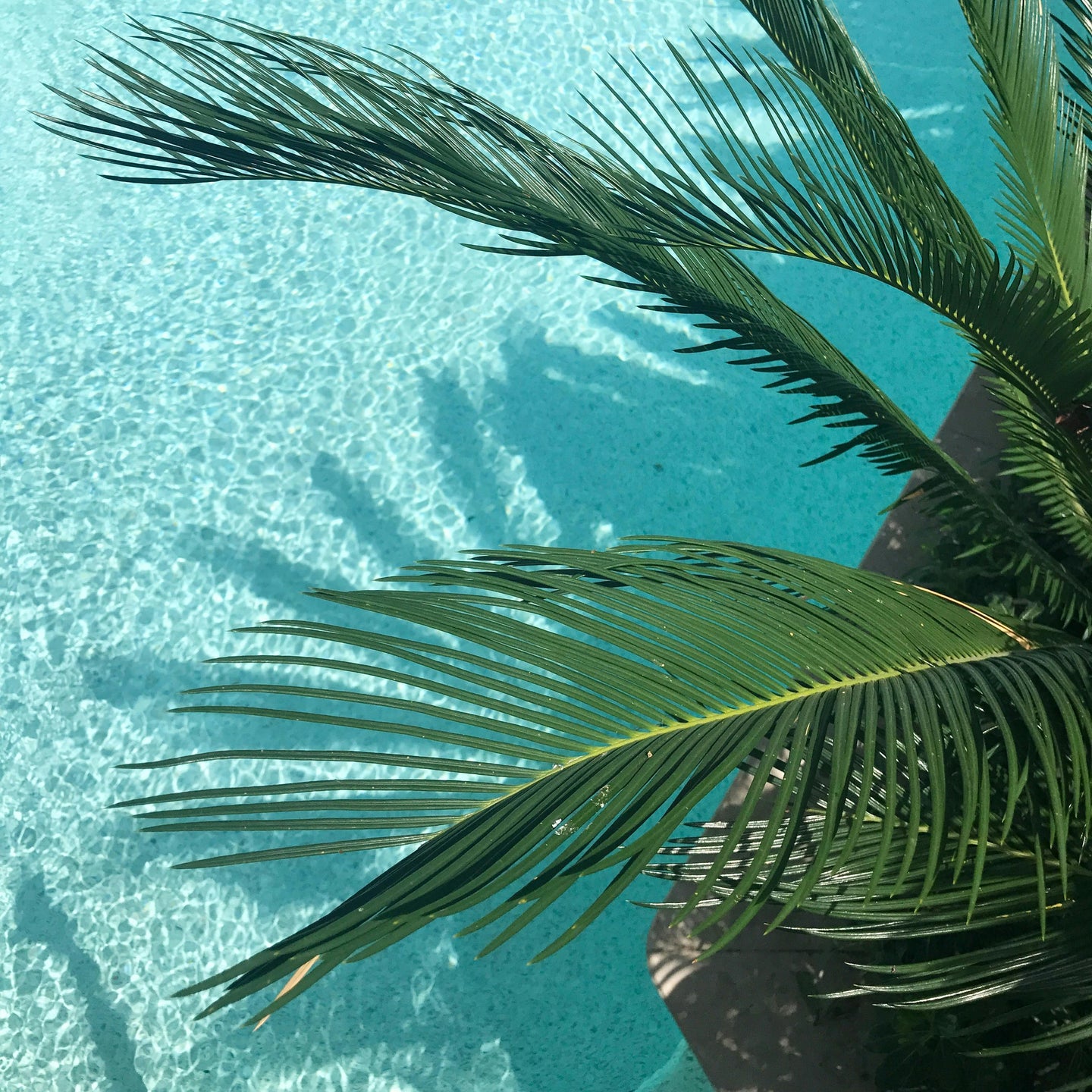 Peak Performance: Summer Skincare Hacks