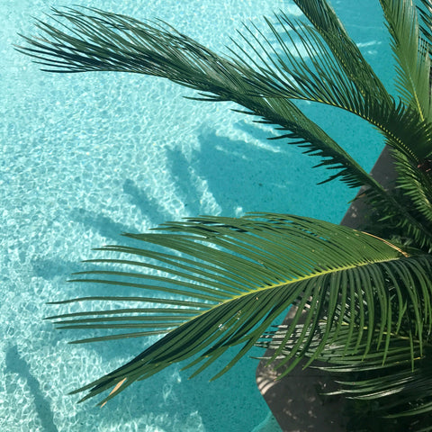 Peak Performance: Summer Skincare Hacks