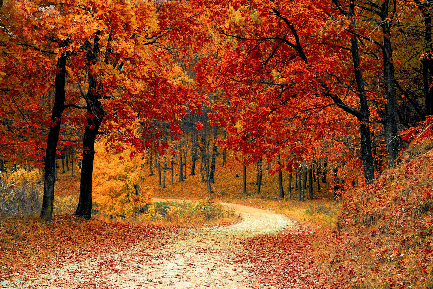 Prepare Your Skin for Autumn: Essential Skincare Tips for the Season