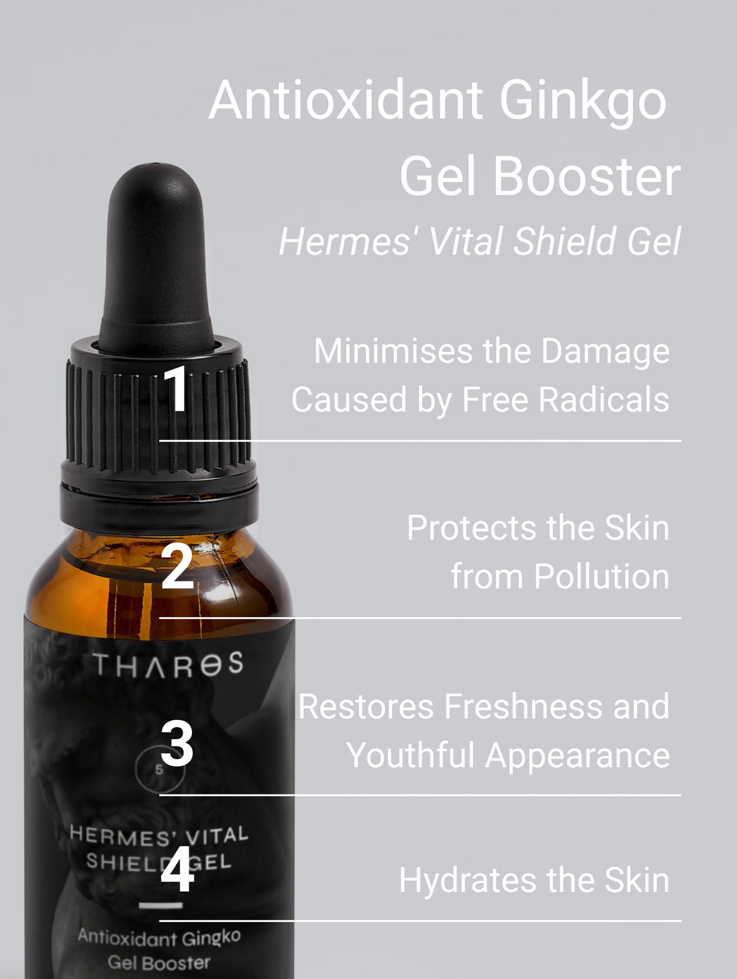 Antioxidant Ginkgo Gel Booster