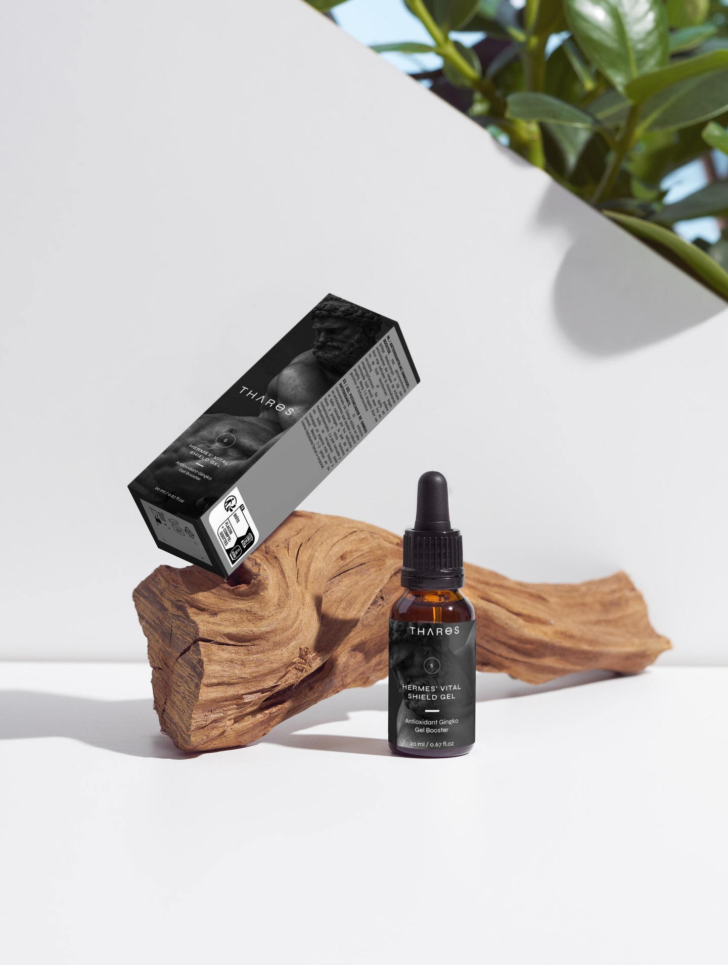 Antioxidant Ginkgo Gel Booster